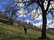 Spettacolo di fiori ai prati della Pigolotta di Valtorta - 8 aprile 2023  - FOTOGALLERY